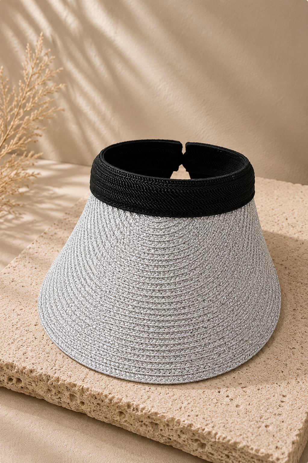 Monaco Visor