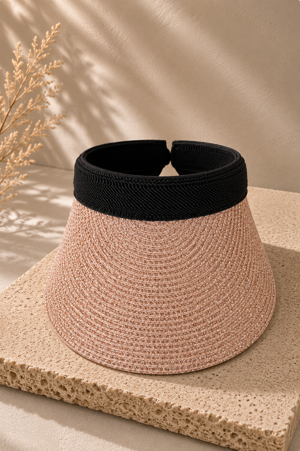 Monaco Visor