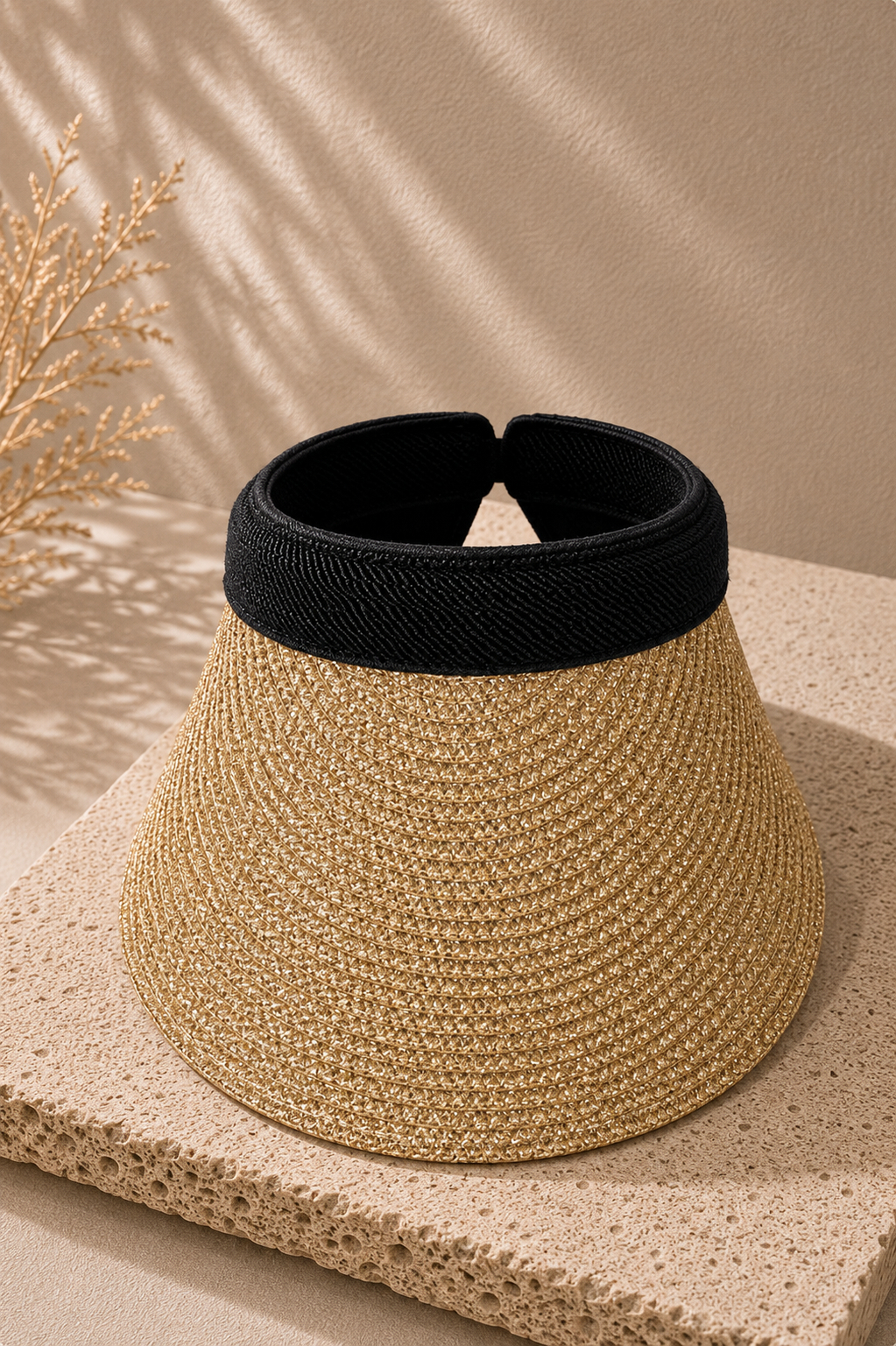Monaco Visor