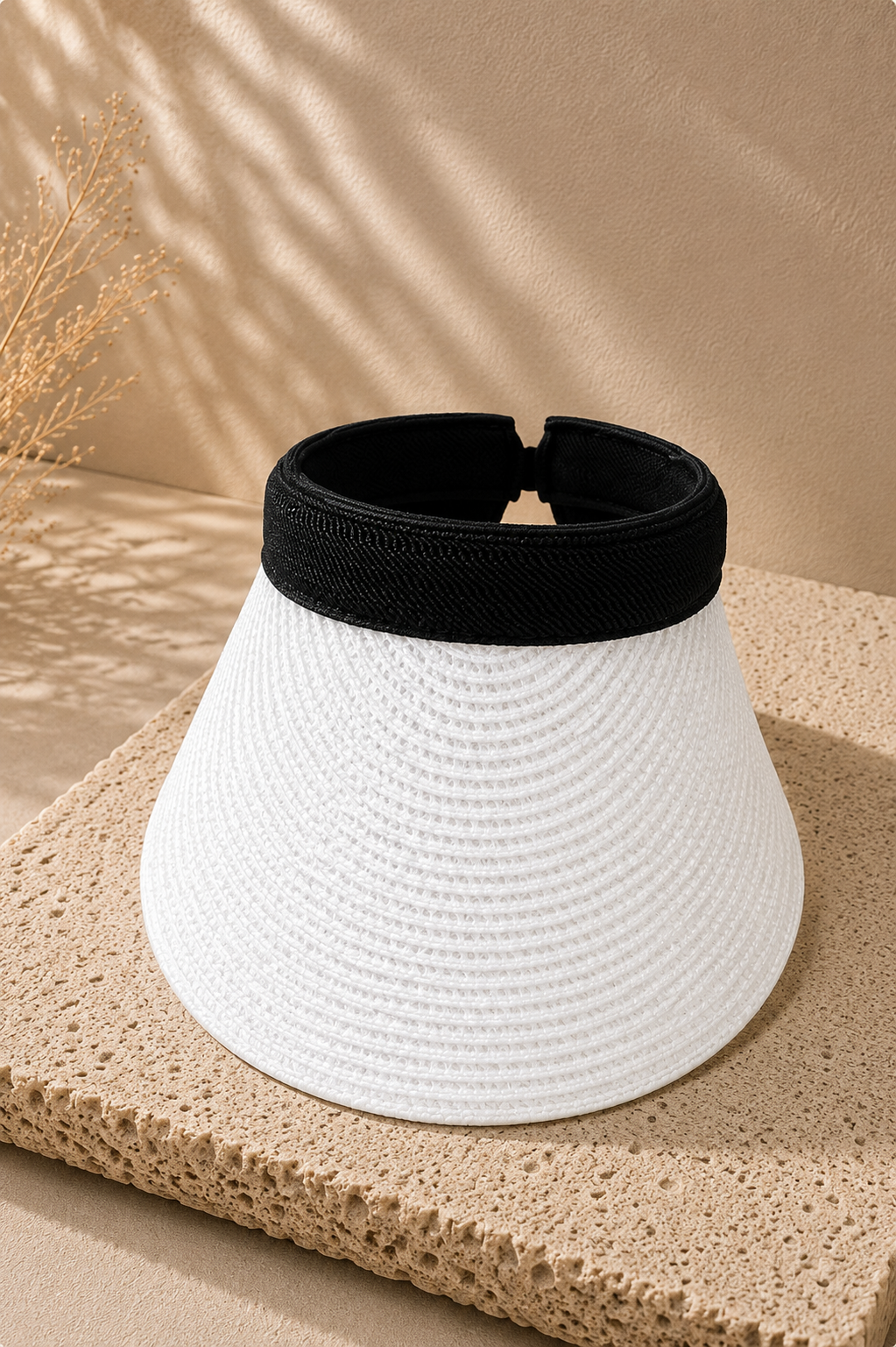 Monaco Visor