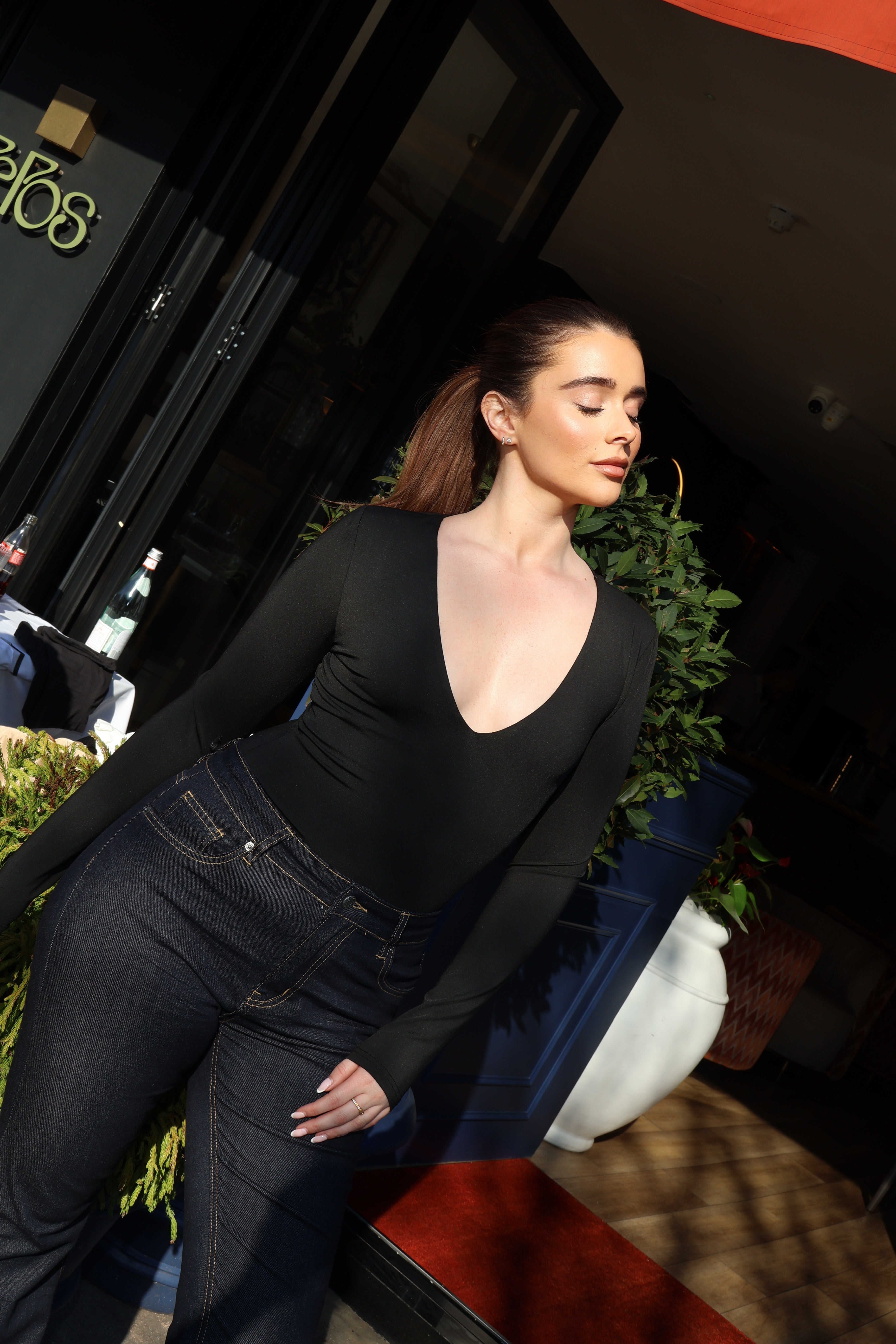 Long Sleeve V Neck Stretch Top