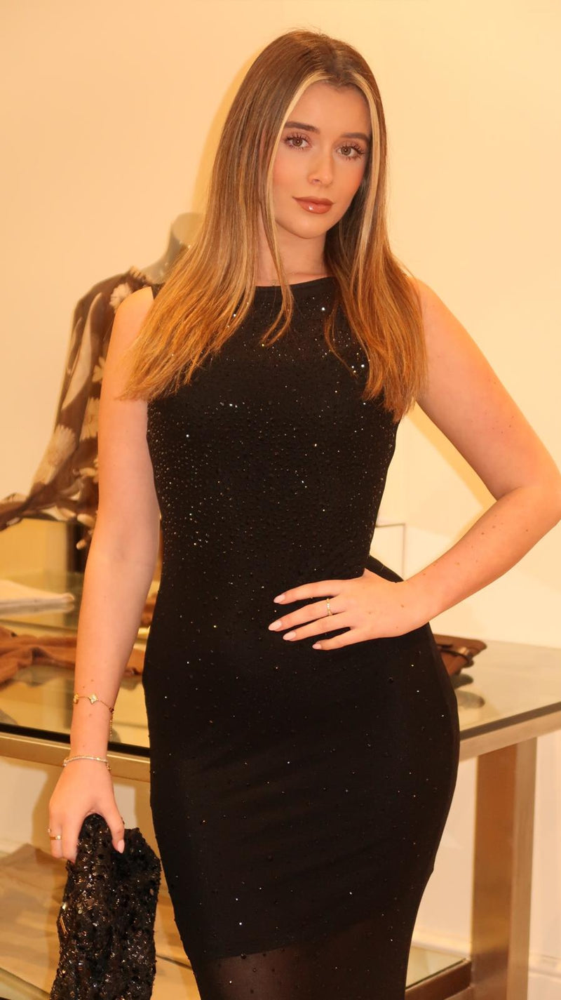 Alara Glitter Mesh Dress